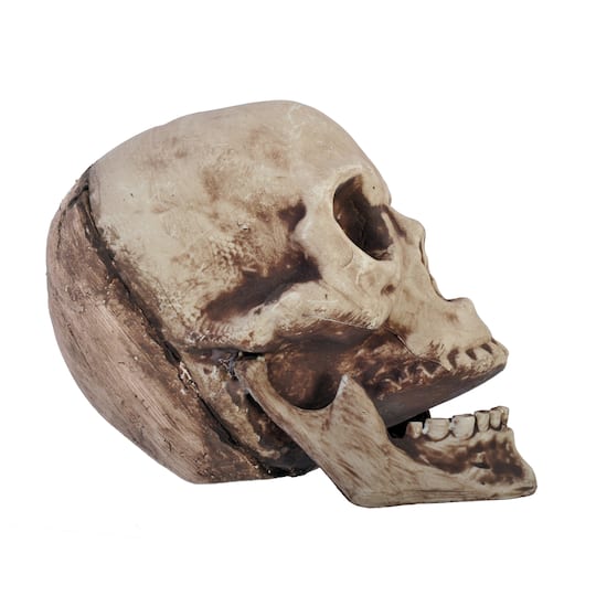 8" Articulated Jaw Skull Tabletop Décor by Ashland®